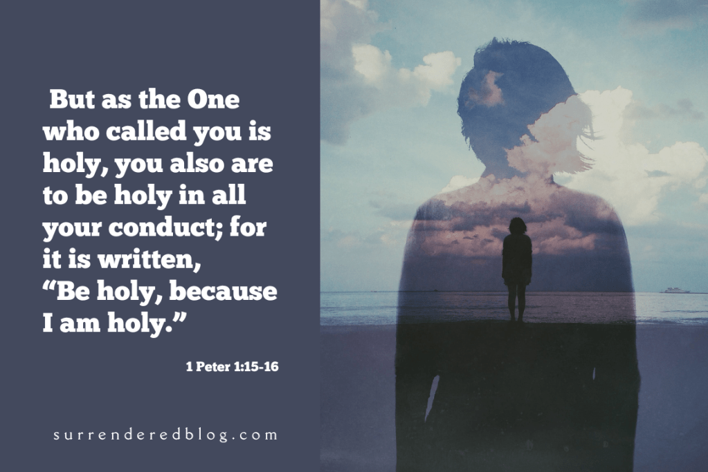 The (Im)Possibility of Holiness