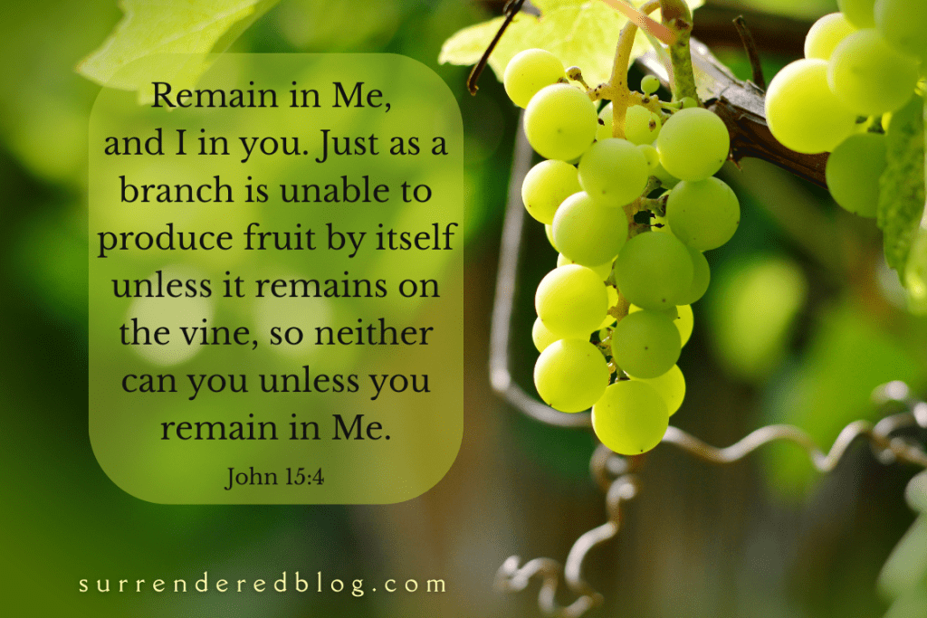 From Collapse to Abiding: Learning to Rest in the&nbsp;Vine